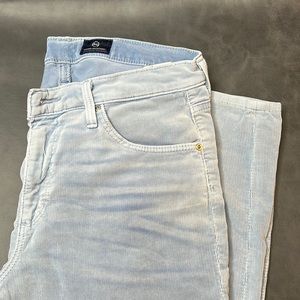 Adriano Goldschmied Blue Corduroy Pant